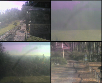 Snímek 7.11.2025 v 10:30