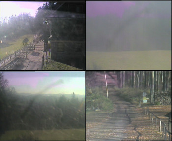 Snímek 7.11.2025 v 10:45