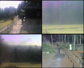 Snímek 7.11.2025 v 12:45