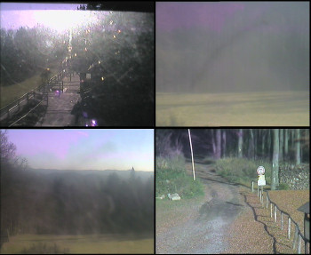 Snímek 7.11.2025 v 13:00