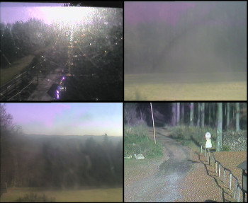 Snímek 7.11.2025 v 13:30