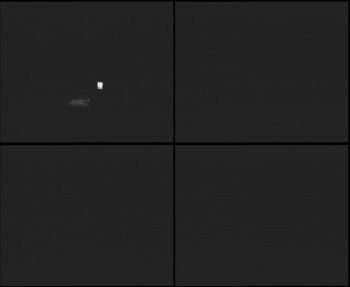 Snímek 7.11.2025 v 17:15