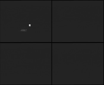 Snímek 7.11.2025 v 17:30