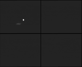 Snímek 7.11.2025 v 17:45