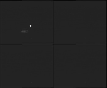 Snímek 7.11.2025 v 18:00