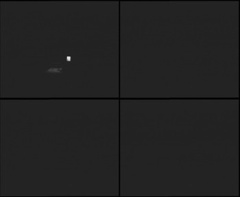 Snímek 7.11.2025 v 19:00