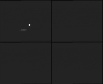 Snímek 7.11.2025 v 19:15