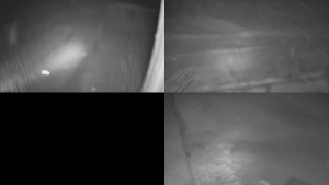 SkiAreál - Horský hotel Vsacký Cáb - Sdružený snímek - 25.2.2026 v 01:31 SkiAreál - Horský hotel Vsacký Cáb - Sdružený snímek - 25.2.2026 v 01:31