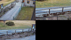 SkiAreál - Horský hotel Vsacký Cáb - Sdružený snímek - 12.3.2026 v 15:46 SkiAreál - Horský hotel Vsacký Cáb - Sdružený snímek - 12.3.2026 v 15:46