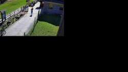 Sdružený snímek