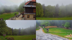 Sdružený snímek