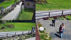 Sdružený snímek