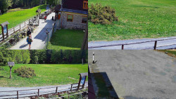 Sdružený snímek