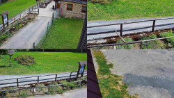 Sdružený snímek