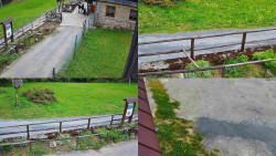 Sdružený snímek