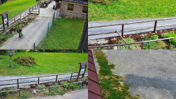 Sdružený snímek
