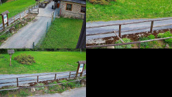 Sdružený snímek