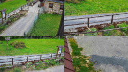 Sdružený snímek