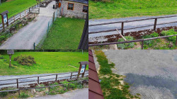 Sdružený snímek