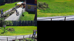 Sdružený snímek
