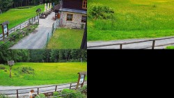Sdružený snímek