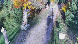 Bílá - běžecká trať