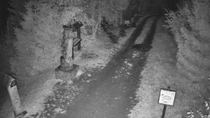 Skiareál Bílá - Bílá - běžecká trať - 26.10.2025 v 01:30 Skiareál Bílá - Bílá - běžecká trať - 26.10.2025 v 01:30