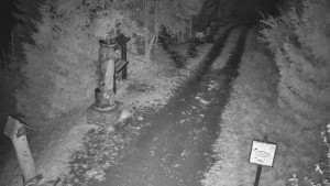 Skiareál Bílá - Bílá - běžecká trať - 26.10.2025 v 19:00 Skiareál Bílá - Bílá - běžecká trať - 26.10.2025 v 19:00