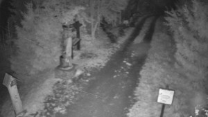 Skiareál Bílá - Bílá - běžecká trať - 26.10.2025 v 19:30 Skiareál Bílá - Bílá - běžecká trať - 26.10.2025 v 19:30
