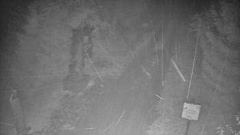 Snímek    29.10.2025 v 04:30