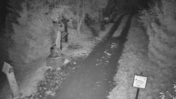 Snímek    29.10.2025 v 22:00