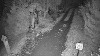 Snímek    29.10.2025 v 22:30