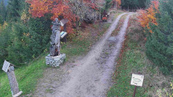 Bílá - běžecká trať