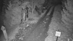 Bílá - běžecká trať