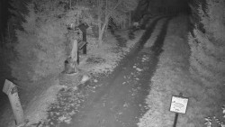 Bílá - běžecká trať