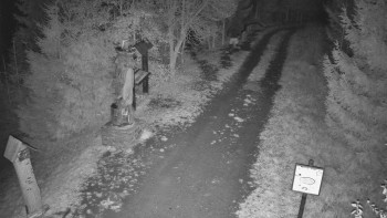 Snímek    31.10.2025 v 22:30