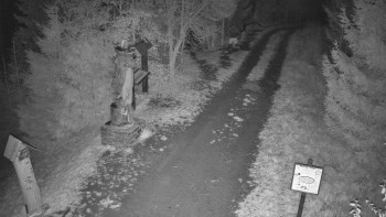 Snímek    1.11.2025 v 02:30