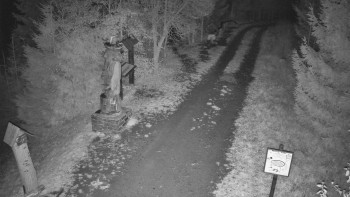 Snímek    1.11.2025 v 03:30