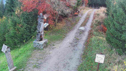 Bílá - běžecká trať