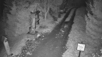 Snímek    2.11.2025 v 23:00