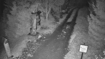 Snímek    3.11.2025 v 00:30