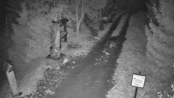 Snímek    3.11.2025 v 01:00