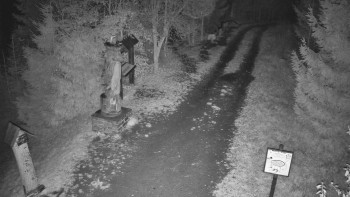 Snímek    3.11.2025 v 02:00