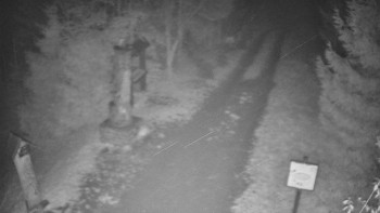 Snímek    3.11.2025 v 02:30