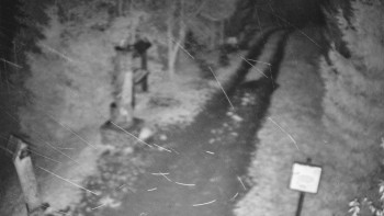 Snímek    3.11.2025 v 03:00