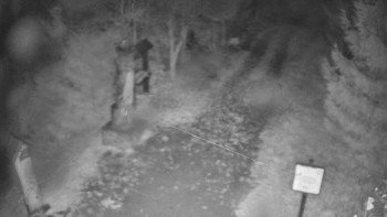 Snímek    3.11.2025 v 06:00