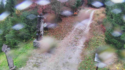 Bílá - běžecká trať