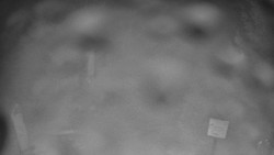 Bílá - běžecká trať