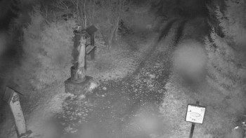 Snímek    3.11.2025 v 19:30