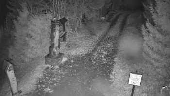 Snímek    3.11.2025 v 20:00